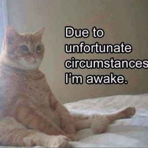 Meet your Posher, Lychee